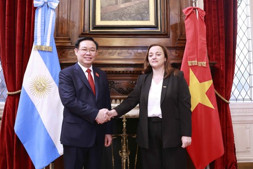 MN Vietnam dan Parlemen Argentina Dorong Kerja Sama di Bidang Legislasi dan Kerja Sama Bilateral - ảnh 1