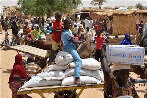 PBB Terus Berikan Bantuan Kemanusiaan kepada Niger Tanpa Memedulikan Kudeta - ảnh 1