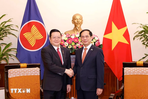 Memperkuat Kerja Sama dan Koordinasi antara Vietnam dan Sekretariat ASEAN - ảnh 1