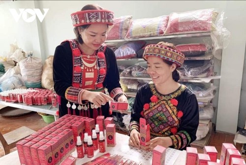 Kisah Sukses Start-Up oleh Para Perempuan Etnis Minoritas di Provinsi Bac Kan - ảnh 1