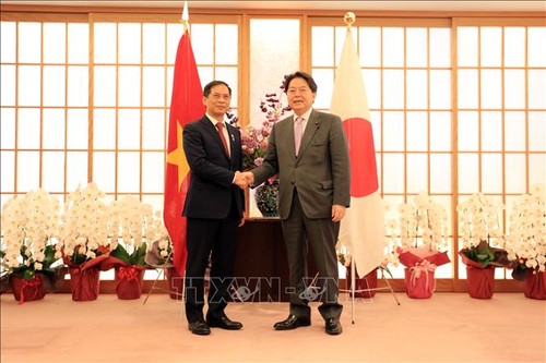 ​Pembicaraan Menteri Luar Negeri Vietnam-Jepang - ảnh 1