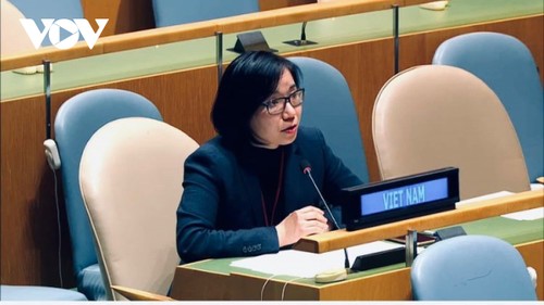 Vietnam Dukung Peningkatan PBB Sebagai Organisasi yang Lebih Kuat dan Efektif - ảnh 1