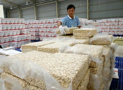 腰果出口增长2016年越南农产品出口的可喜信号 - ảnh 2
