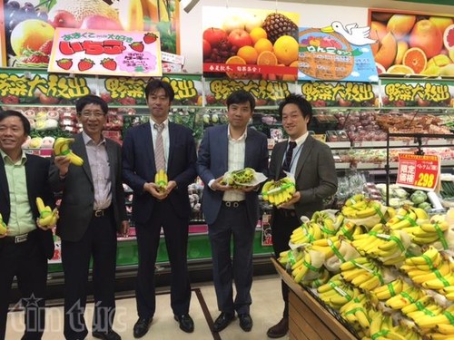 越南出口的香蕉产品在日本市场受到好评 - ảnh 1