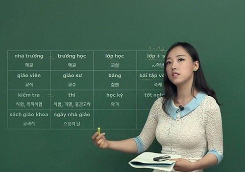2015-2016年全球青年经营管理家项目的多名韩国学员流畅说越语 - ảnh 1