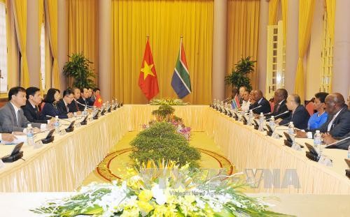 南非希望促进与越南关系 - ảnh 1