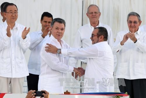 哥伦比亚持久和平：未了的梦 - ảnh 2