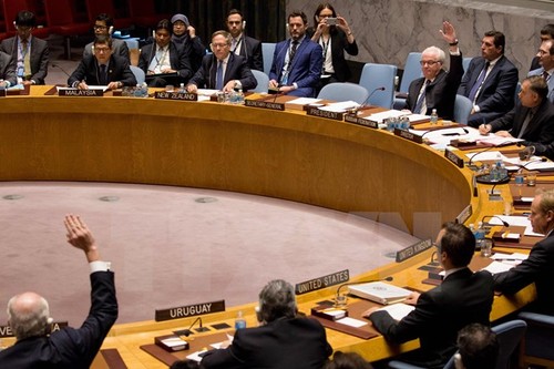 联合国安理会在解决叙利亚问题上出现分歧 - ảnh 1