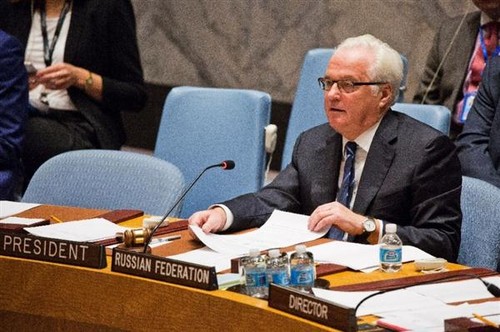 联合国安理会在解决叙利亚问题上出现分歧 - ảnh 2