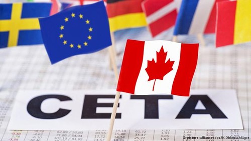 全力挽救欧盟和加拿大《综合经济与贸易协定》 - ảnh 2