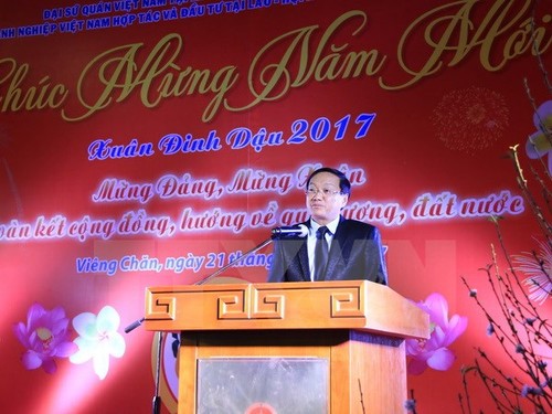 越南驻外代表机构举行拜年活动 - ảnh 1