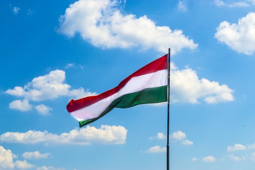 匈牙利国庆纪念会在胡志明市举行 - ảnh 1