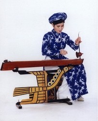 越南民族民间音乐文化宝库中的独特乐器——独弦琴 - ảnh 1