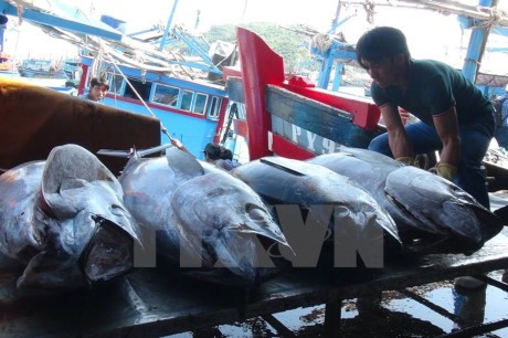越南和中国推动北部湾渔业可持续发展 - ảnh 1