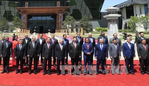  越南与“一带一路”国际合作高峰论坛伙伴方加强合作 - ảnh 1