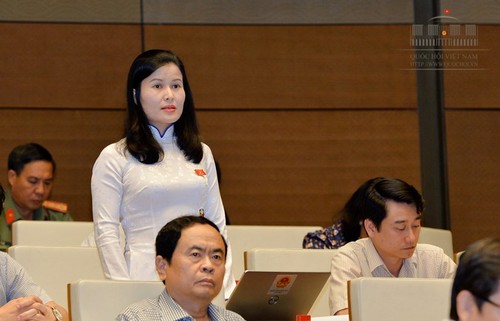 越南国会讨论发展旅游的措施 - ảnh 1