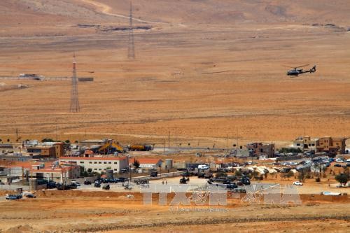 叙利亚政府军在中部沙漠地区夺回2000平方米区域控制权 - ảnh 1