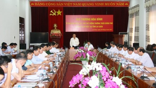 越南政府副总理张和平视察莱州省 - ảnh 1