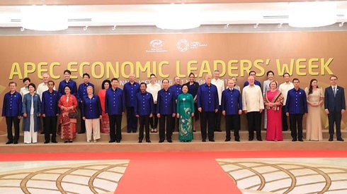 2017 APEC是越南促进经贸合作和巩固国际地位的良机 - ảnh 1