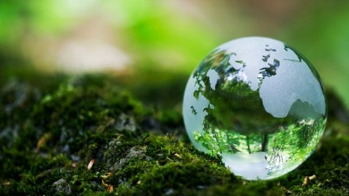 世界各国响应地球日：终止塑料污染 - ảnh 1