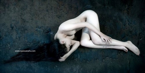 观看在越南首次获准举办的裸体摄影展 - ảnh 6