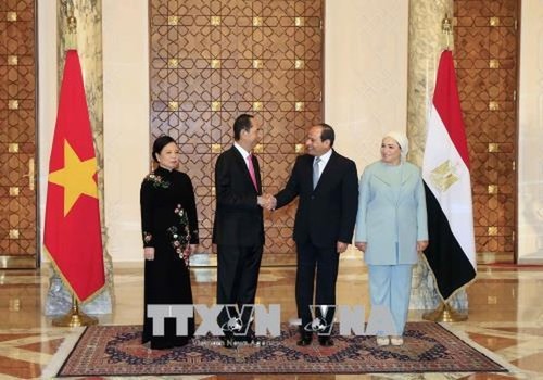 埃及总统塞西主持仪式欢迎越南国家主席陈大光 双方举行会谈 - ảnh 1