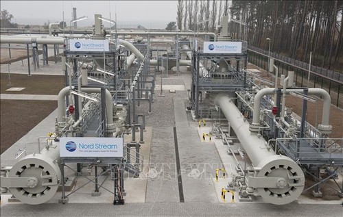 俄罗斯强调决心完成输送欧洲的天然气管道项目 - ảnh 1