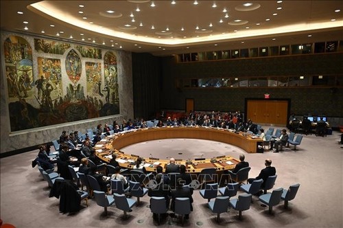 联合国安理会时隔4个月首次召开现场会议 - ảnh 1