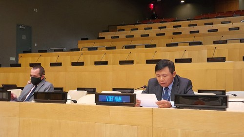 越南与联合国安理会成员国讨论几内亚比绍政治僵局 - ảnh 1