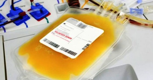 捐献血浆救治新冠肺炎患者：崇高的义举 - ảnh 2