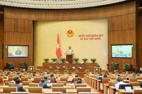 越南国会代表对关于胡志明市城市政府组织的决议草案表示赞同 - ảnh 1