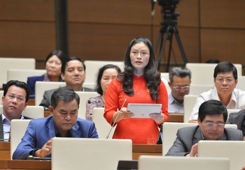 越南国会继续讨论经济社会问题 - ảnh 2
