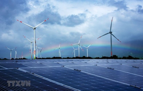 经济快速增长推动越南绿色能源消费 - ảnh 1