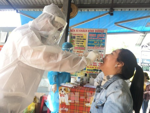 越南新增12例新冠肺炎确诊病例 - ảnh 1