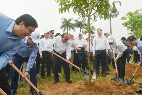 阮春福总理出席义安省响应种植10亿棵树项目仪式 - ảnh 1