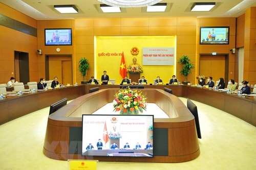越南国会对外工作日益专业、现代 - ảnh 1