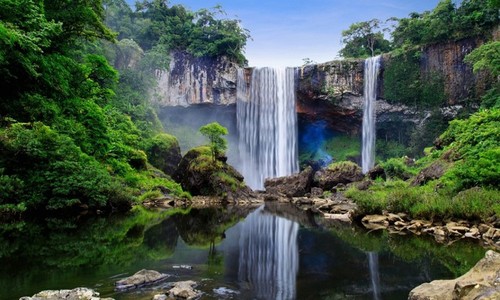 越南再有两个生物圈保护区被列为世界生物圈保护区 - ảnh 16