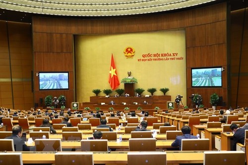 越南15届国会1次非正式会议1月11日下午闭幕 - ảnh 1