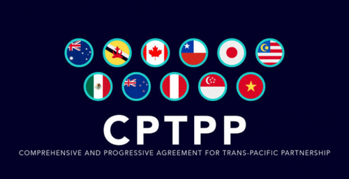 企业充分利用CPTPP协定所带来的机遇 - ảnh 1