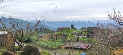 河江 Xa Phin 村的美景 - ảnh 3