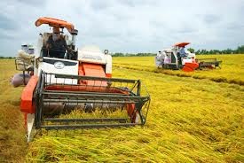 Hi-tech application in agriculture forum opens - ảnh 1