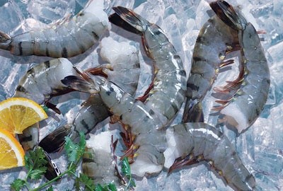 Anti-subsidy tariff – an unfair decision for Vietnamese frozen shrimp - ảnh 1