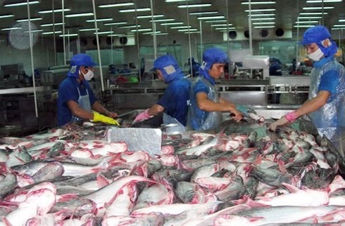 US Department of Commerce imposes high tariff on Vietnamese tra fish - ảnh 1