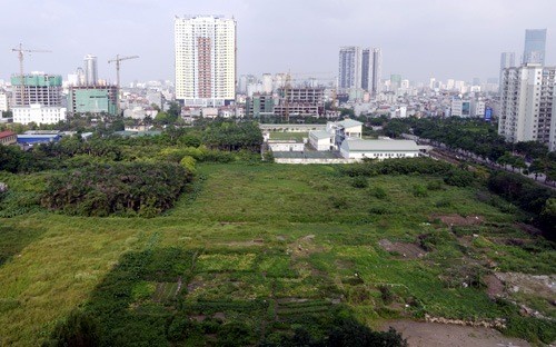 Implementing the 2013 revised Land Law  - ảnh 1
