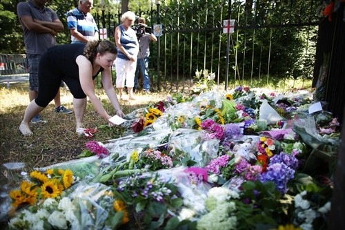 The Netherlands speeds up MH17 victims’ identification - ảnh 1