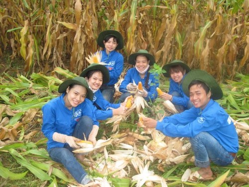 Students volunteer to assist rural development in Phu Yen  - ảnh 1