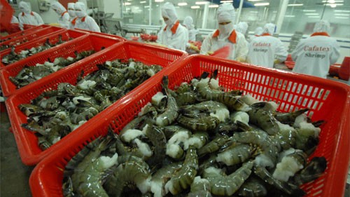 Vietnam’s reaction to the US’s imposition of anti-dumping tariffs on Vietnamese shrimps - ảnh 1