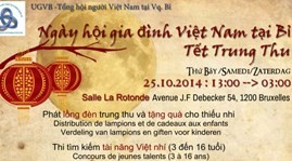 Vietnam Family Day in Belgium - ảnh 1