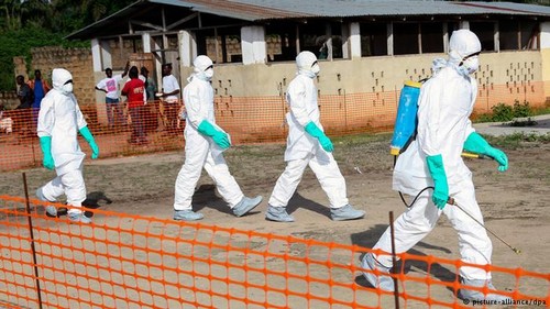 WHO warns Ebola deaths rise - ảnh 1