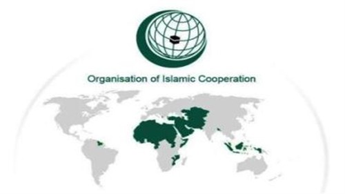 OIC information ministers discuss threats posed by IS - ảnh 1